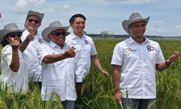 Panen Pertama Padi Gogo, Bakrie Group Upayakan Dukung Ketahanan Pangan Nasional Dalam Rangka HUT BAkrie 80 Tahun