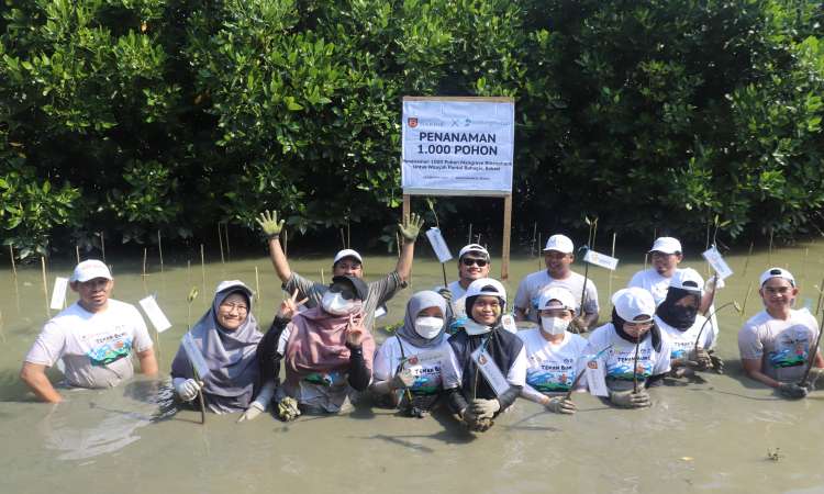 Peduli Terhadapn Kesenjangan Alam Bakrie Amanah Lakukan Penanaman Pohon 1000 Mangrove di Pantai Bahagia Bekasi