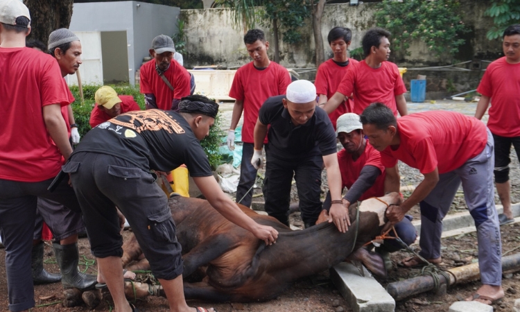 Bakrie Group melalui Bakrie Amanah Salurkan 157 Hewan Kurban di Hari Raya Idul Adha 1445 H