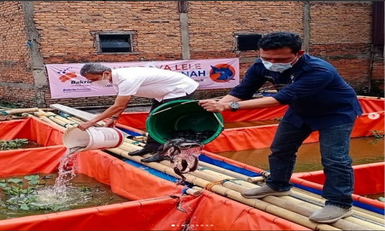 Resmikan Budidaya Lele, Bakrie Amanah Kuatkan Warga Kampung Apung untuk Bangkit
