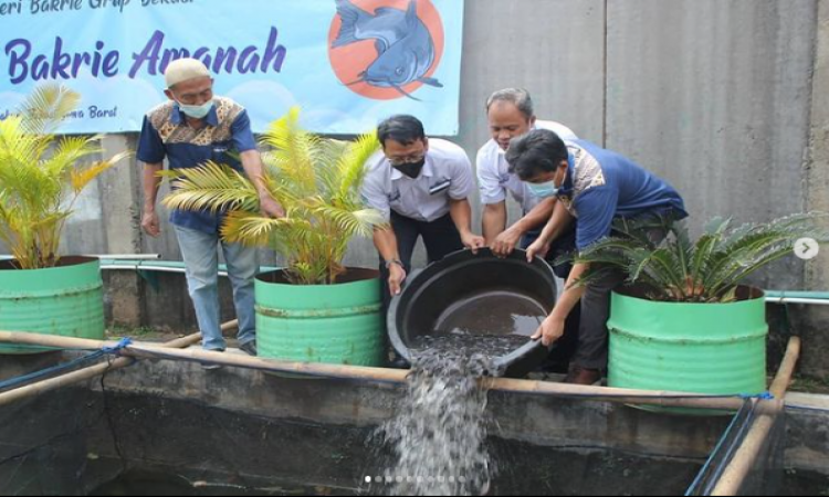 Bakrie Amanah dan PT. Braja Mukti Cakra Tebar Benih Program Budidaya Ikan Lele