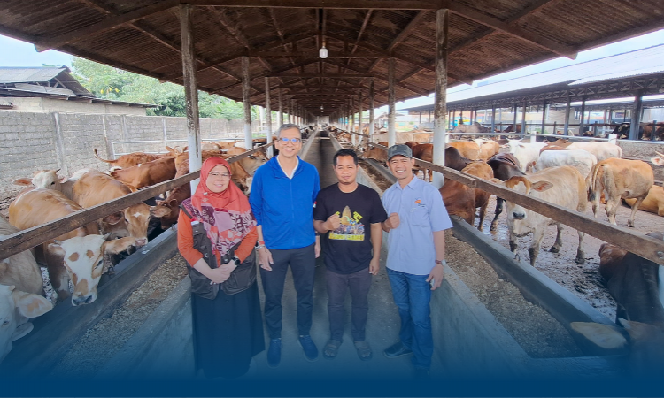 Berdayakan Peternak, LAZNAS Bakrie Amanah Gelar Peresmian Program Agri Zakat Budidaya Sapi di Lampung Tengah